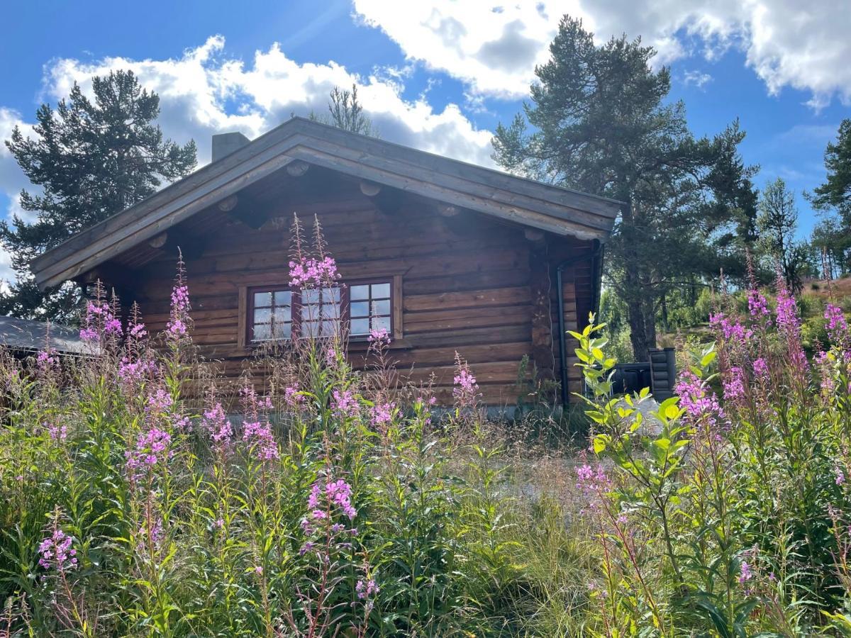 Masaplassen Friisvegen Mountain Lodge Рінгебу Екстер'єр фото