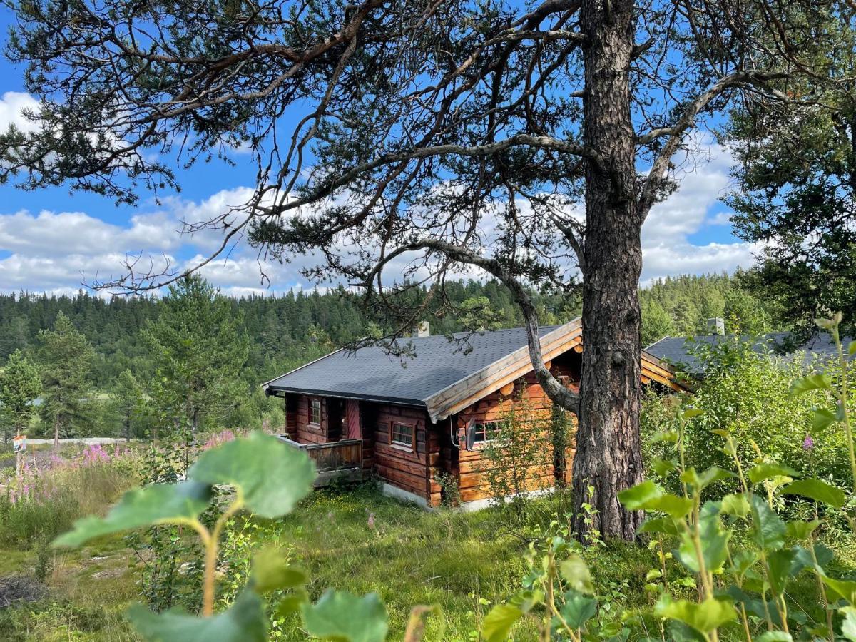 Masaplassen Friisvegen Mountain Lodge Рінгебу Екстер'єр фото