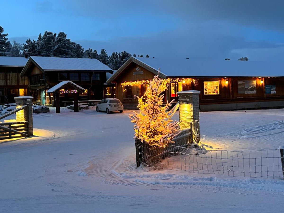 Masaplassen Friisvegen Mountain Lodge Рінгебу Екстер'єр фото