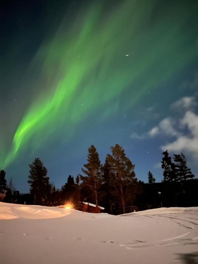 Masaplassen Friisvegen Mountain Lodge Рінгебу Екстер'єр фото