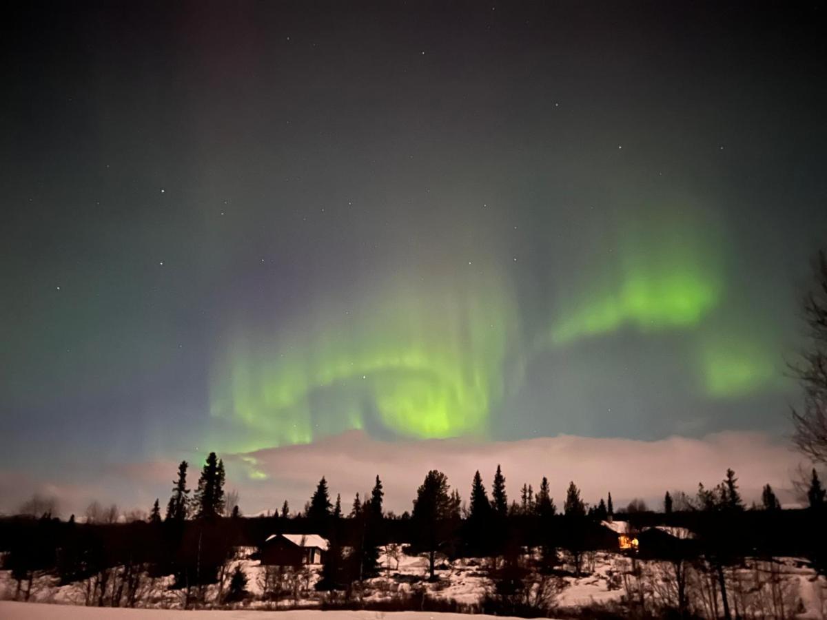 Masaplassen Friisvegen Mountain Lodge Рінгебу Екстер'єр фото