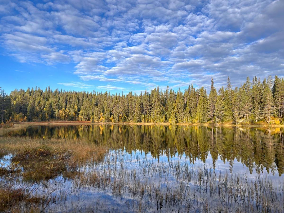 Masaplassen Friisvegen Mountain Lodge Рінгебу Екстер'єр фото