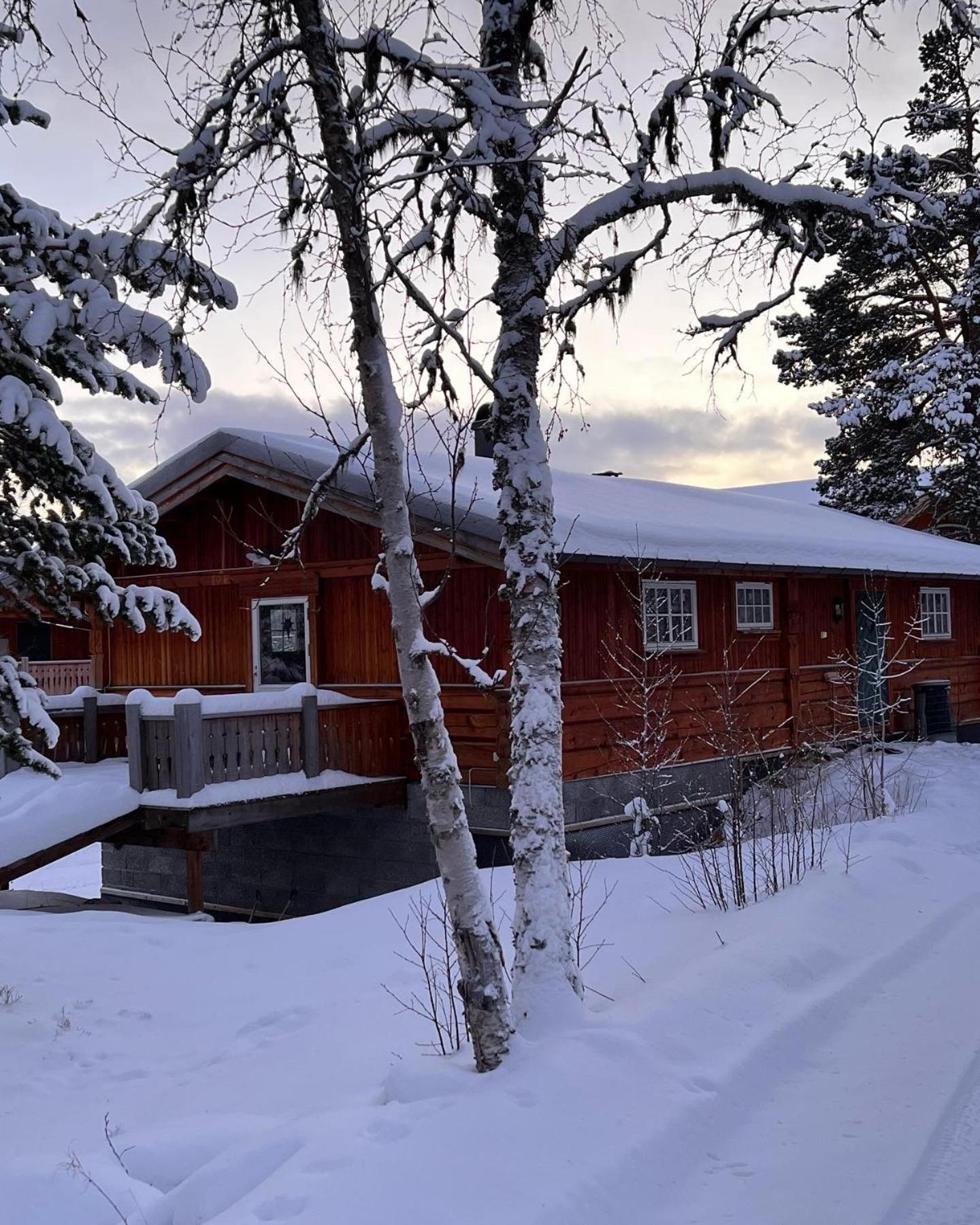 Masaplassen Friisvegen Mountain Lodge Рінгебу Екстер'єр фото