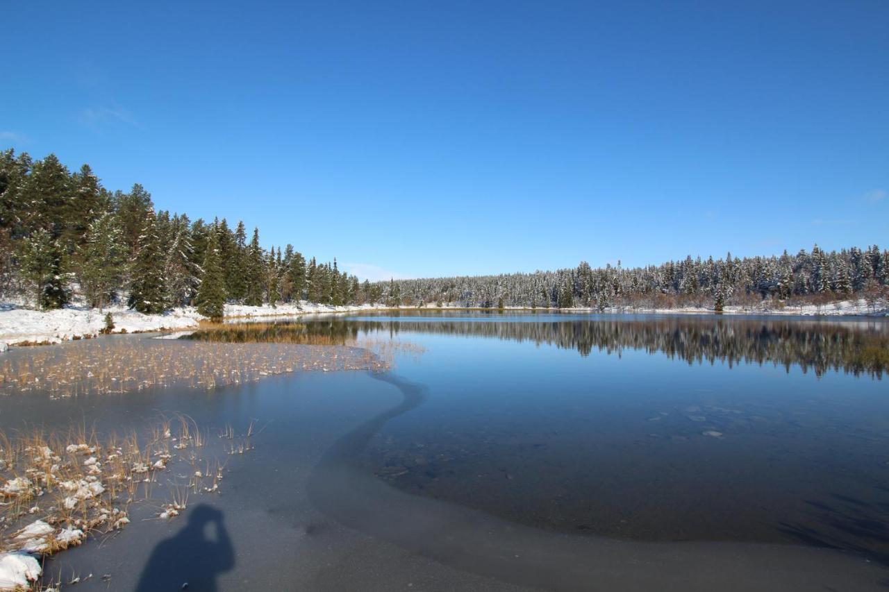 Masaplassen Friisvegen Mountain Lodge Рінгебу Екстер'єр фото