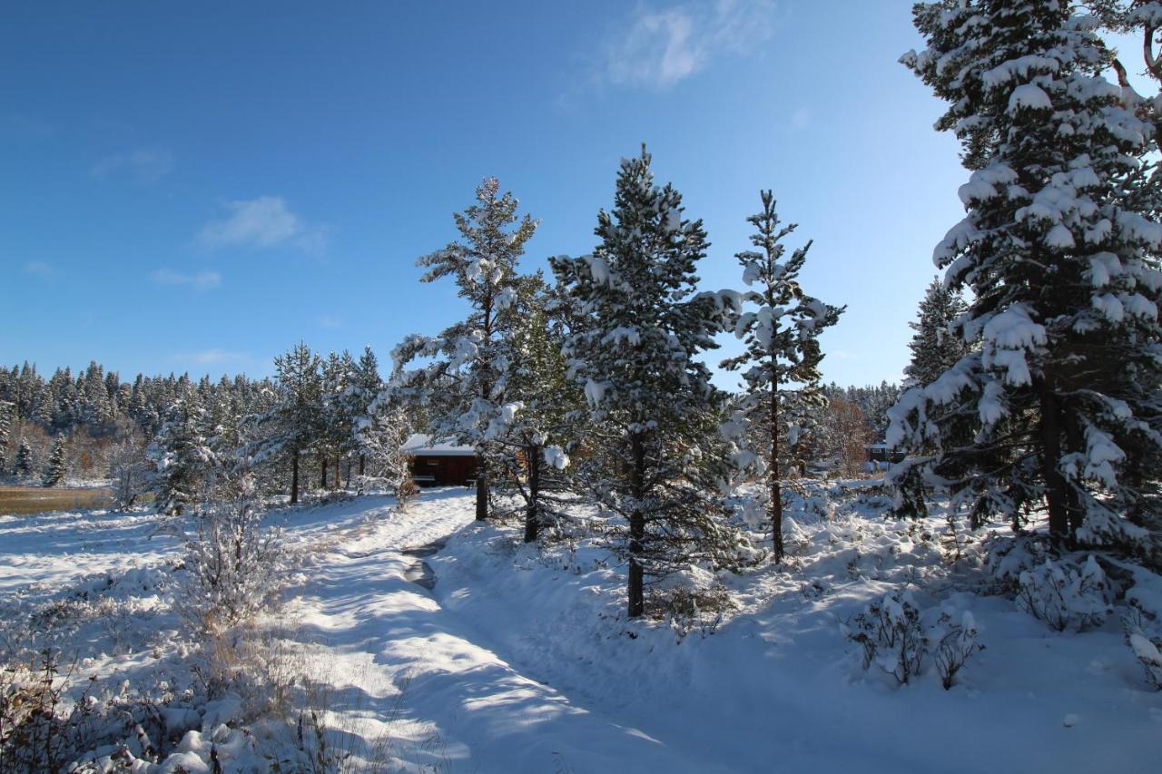 Masaplassen Friisvegen Mountain Lodge Рінгебу Екстер'єр фото