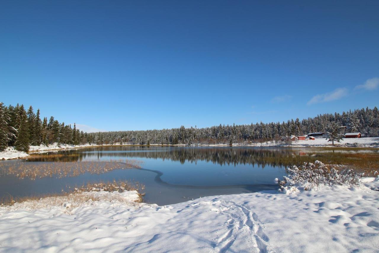 Masaplassen Friisvegen Mountain Lodge Рінгебу Екстер'єр фото